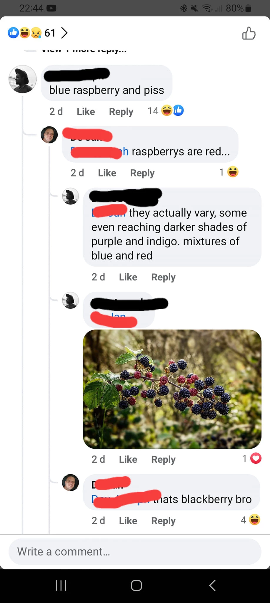 Bro Different Fruit