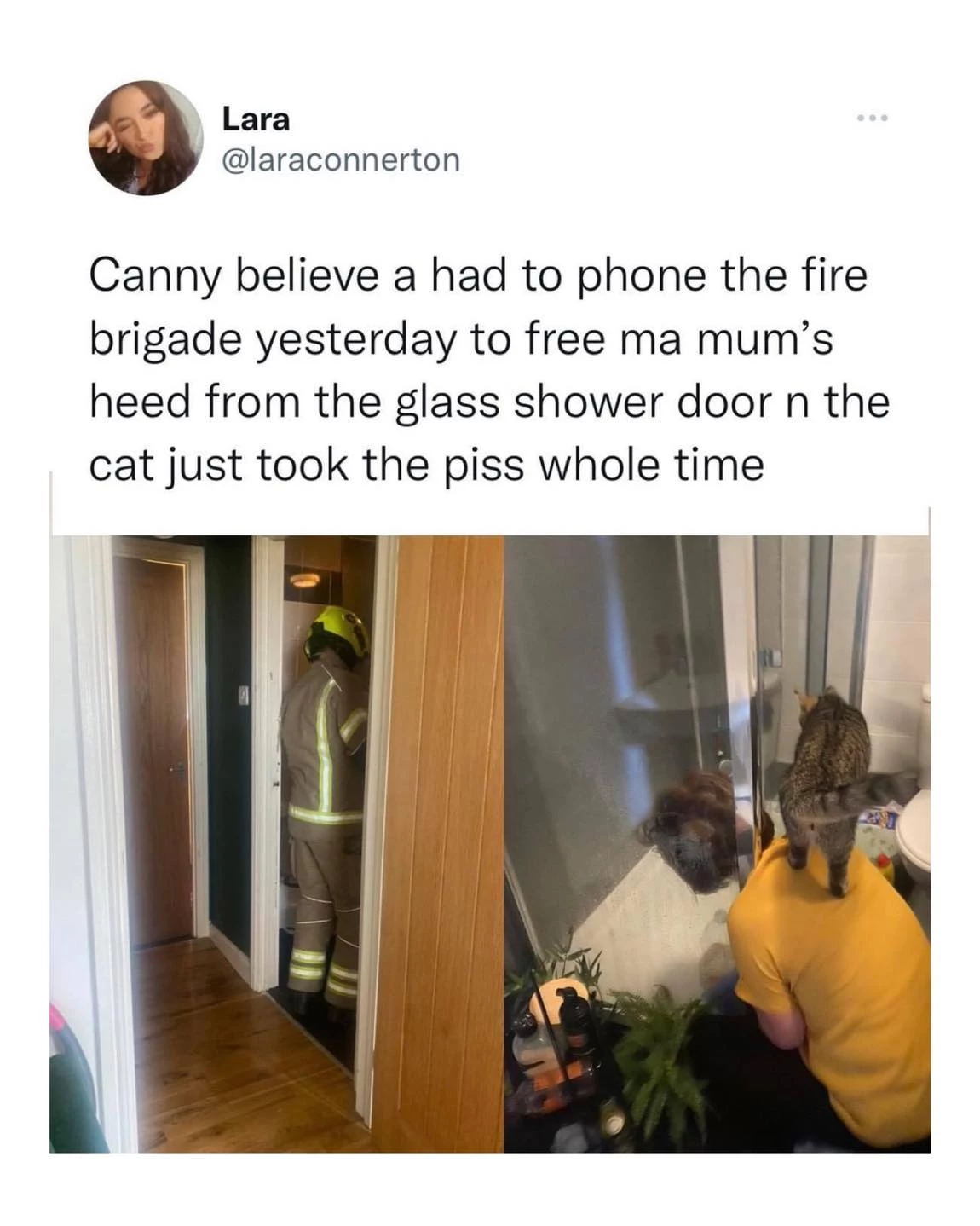 Cat In Scotland Is Different