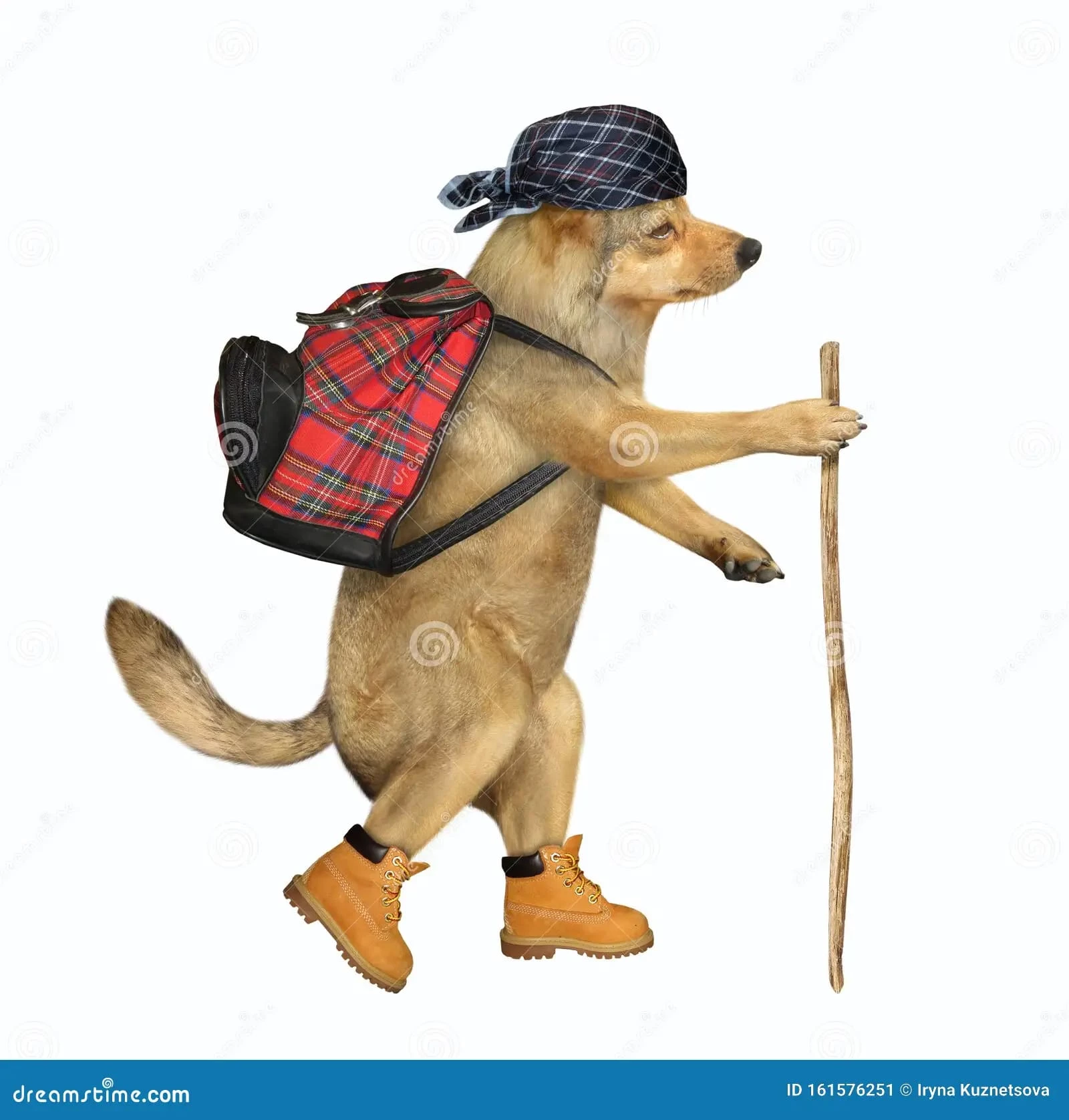 Dog Hiker