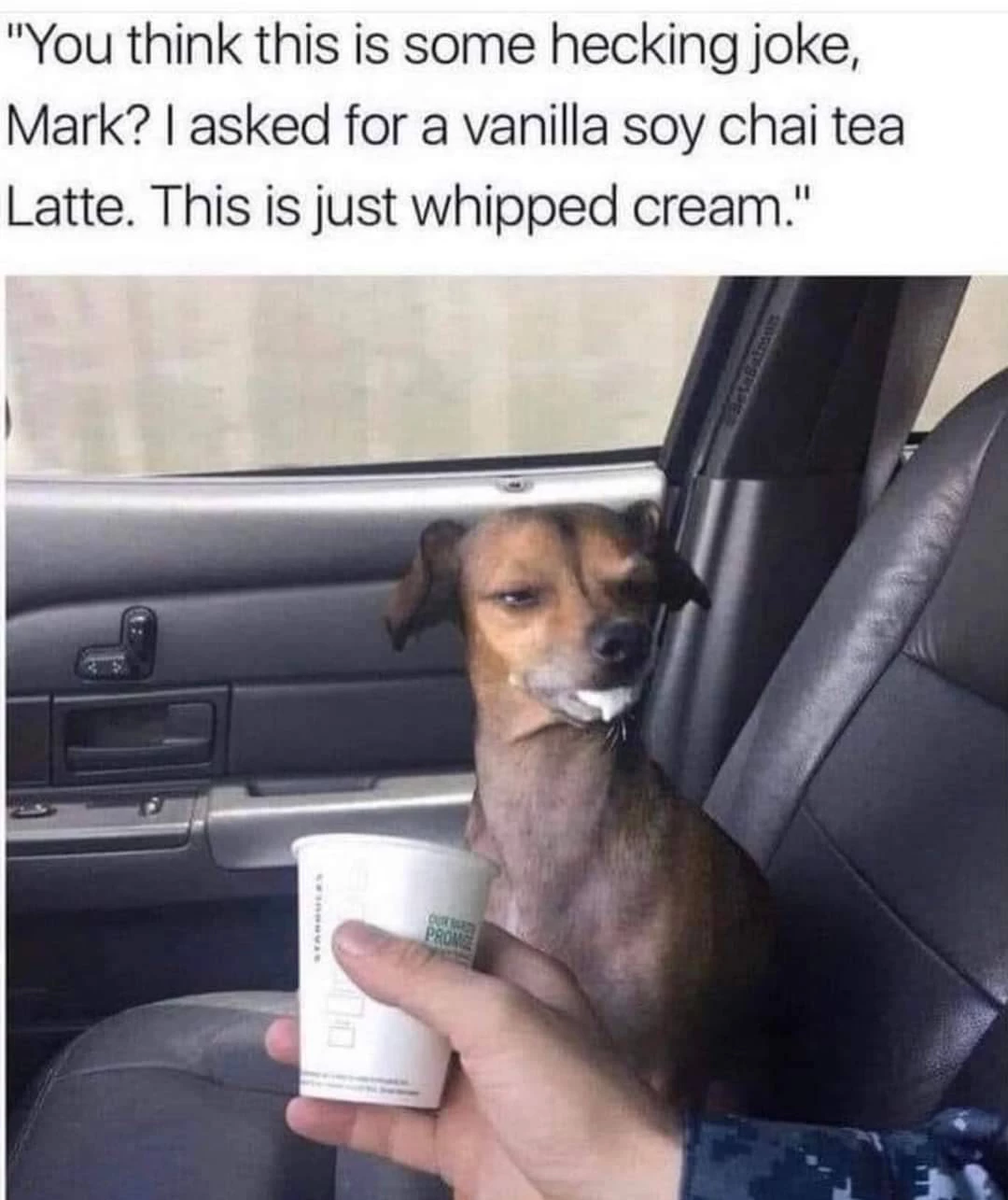 Don't Do It Mark Coffee Memes