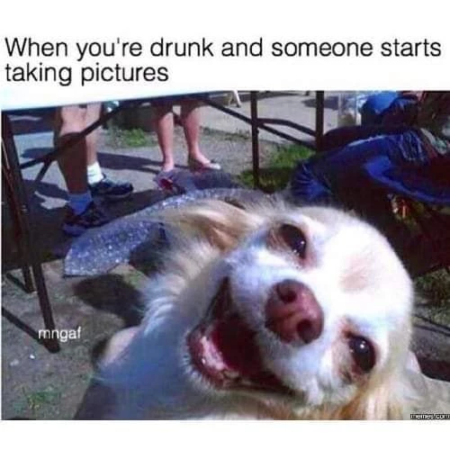 Give Me 100 Pics! Animals Representing Our Drunken Selves Memes