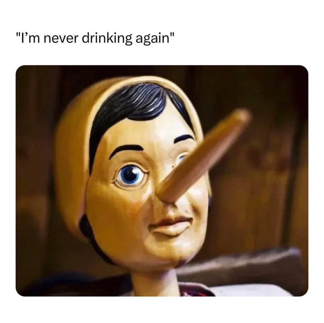 How Could You Know I Was Lying? Drunk Girl Memes