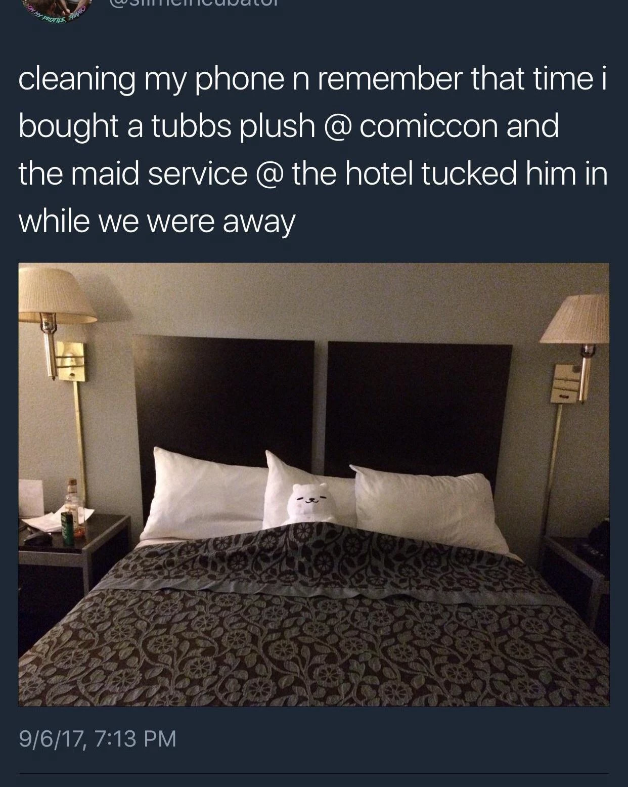 I'd Do That If I Was The Staff Too Hotel Memes