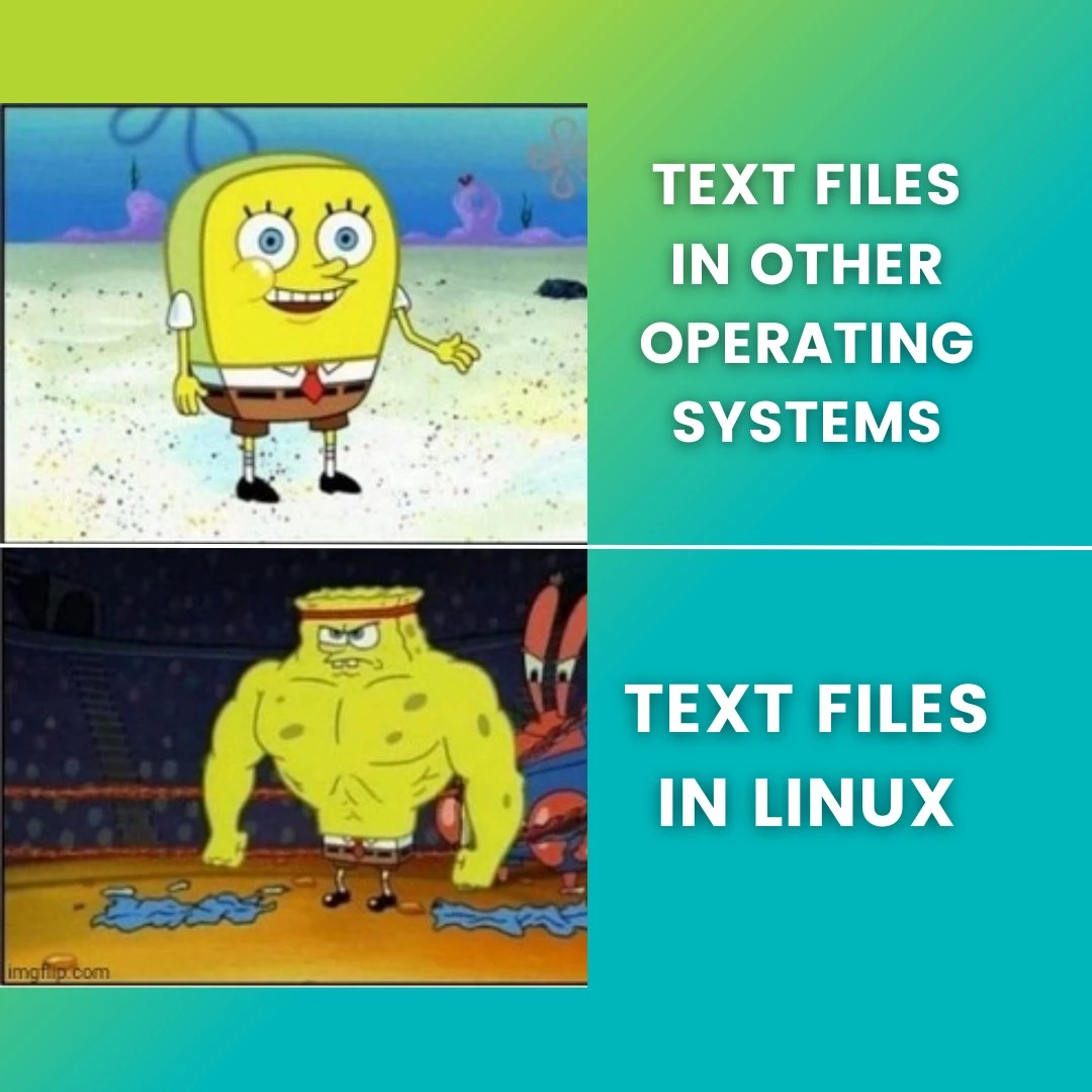 Linux Built Different