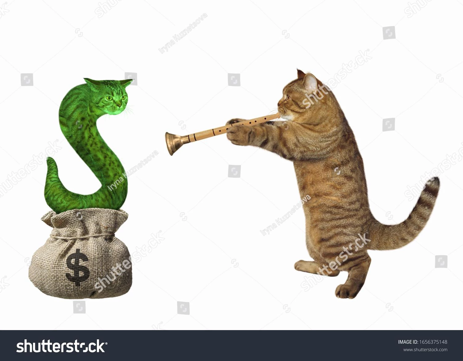 Raise Me Some Cash, Snakecat