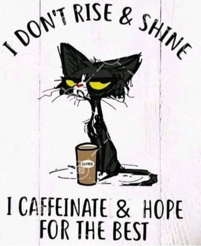 Sometimes Just Caffeinate Coffee Memes