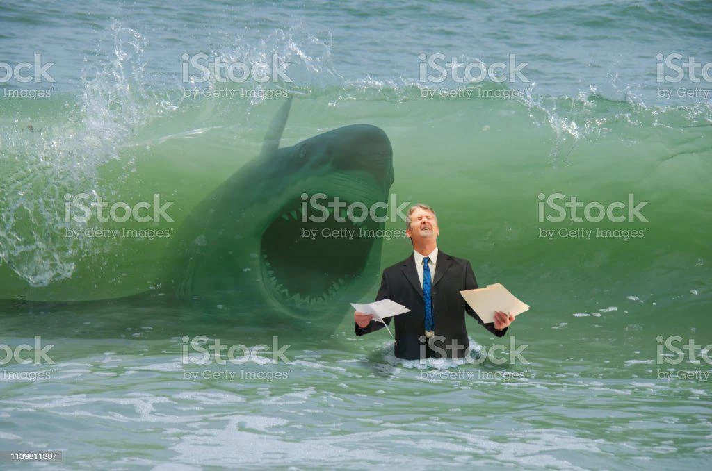 The Shark Ate My Reports?