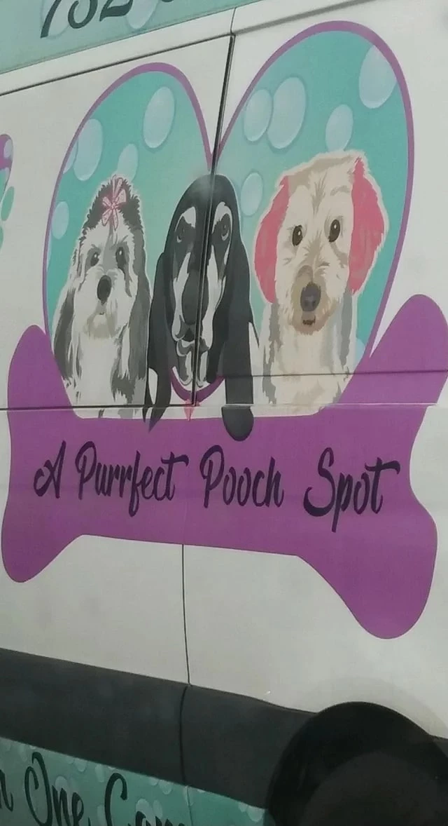 Using Purrfect For A Dog Grooming Business Seems