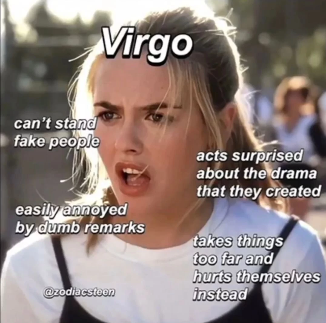 Virgo In A Nutshell