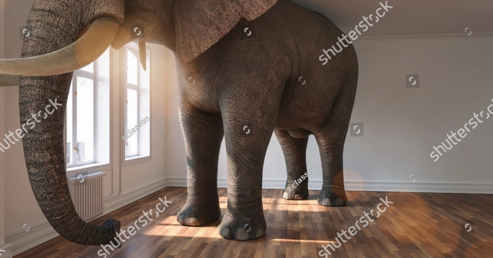 We Need To Address The Elephant In The Room