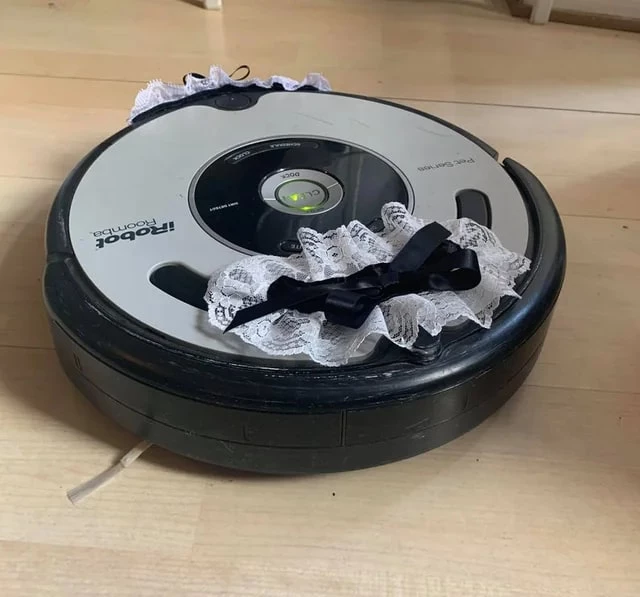 When Your Roomba Is French