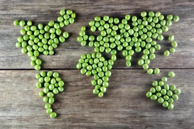 World Peas! Get It?