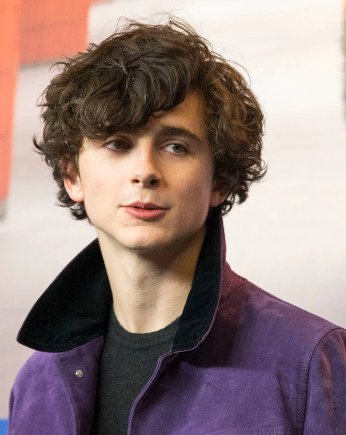 Timothée Chalamet dropped out of Columbia University