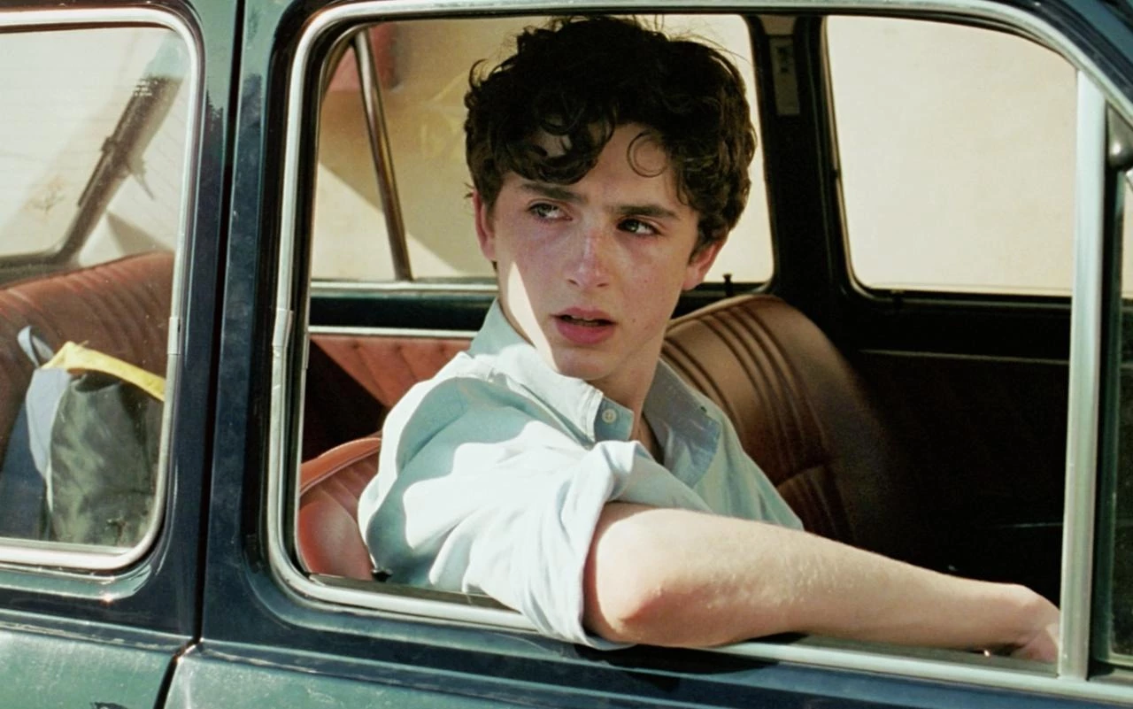 Timothée Chalamet in “Call Me By Your Name"