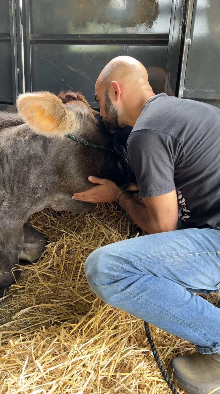 Blind Cow Helen Finally Finds Happiness