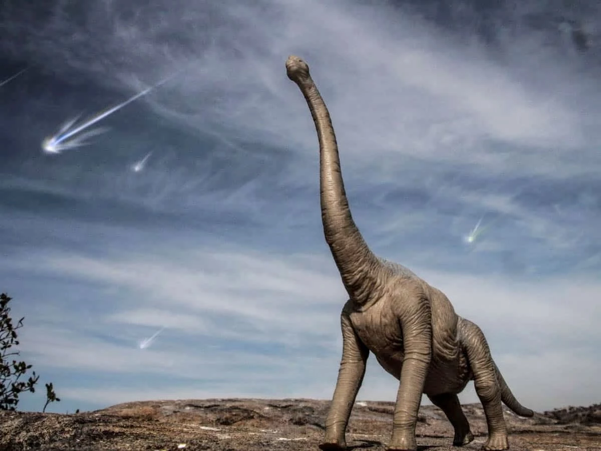 Dinosaurs Weren’t Killed By A Massive Asteroid