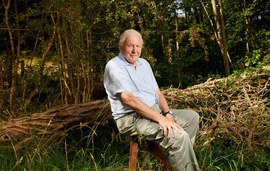 Sir David Attenborough continues to guide us in Planet Earth 3