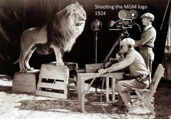 Filming of the MGM Lion