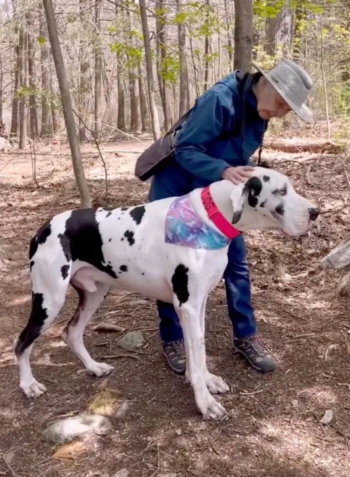 Alyssa And Kernel Were Trekking