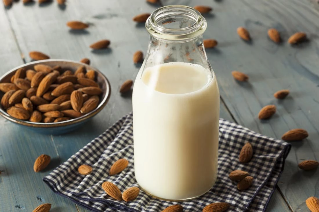 almond milk for dogs