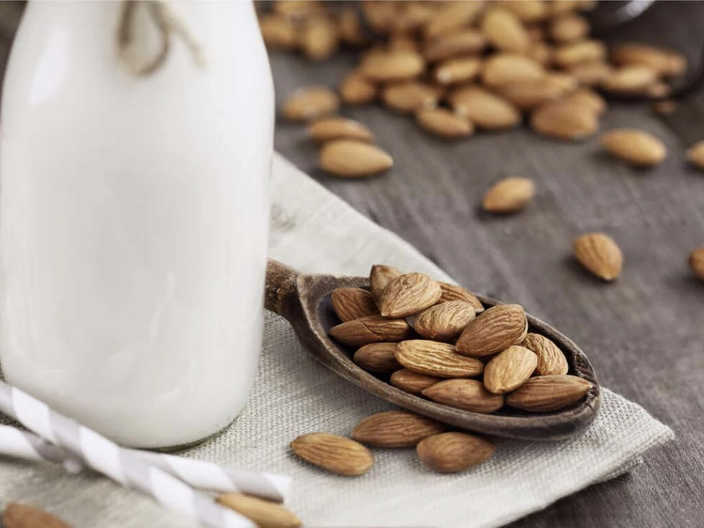 is almond milk bad for dogs