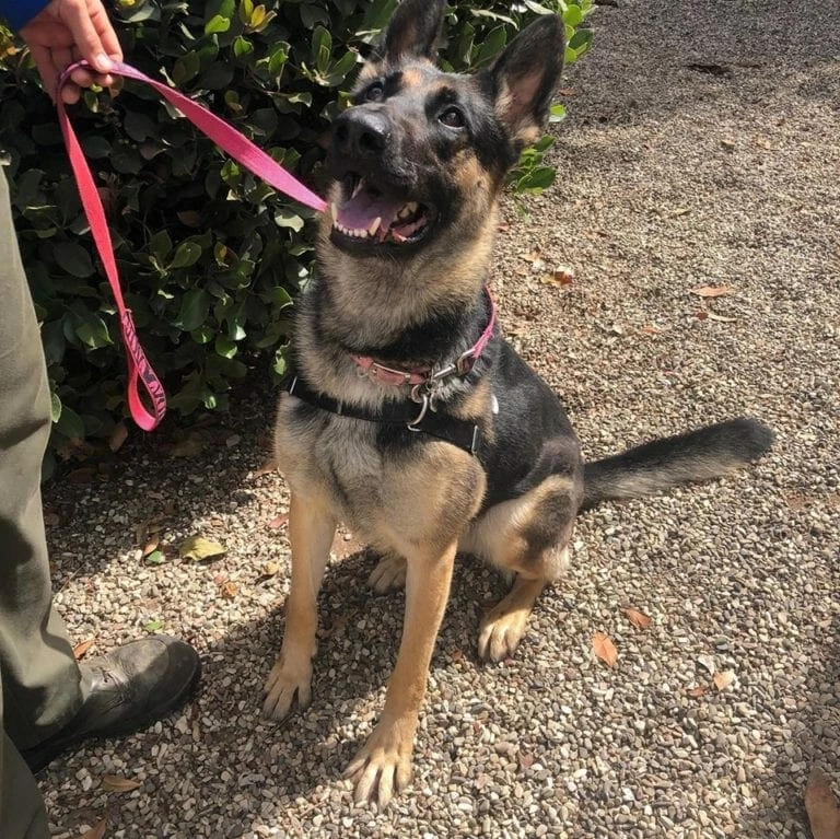 The Santa Barbara County Animal Shelter