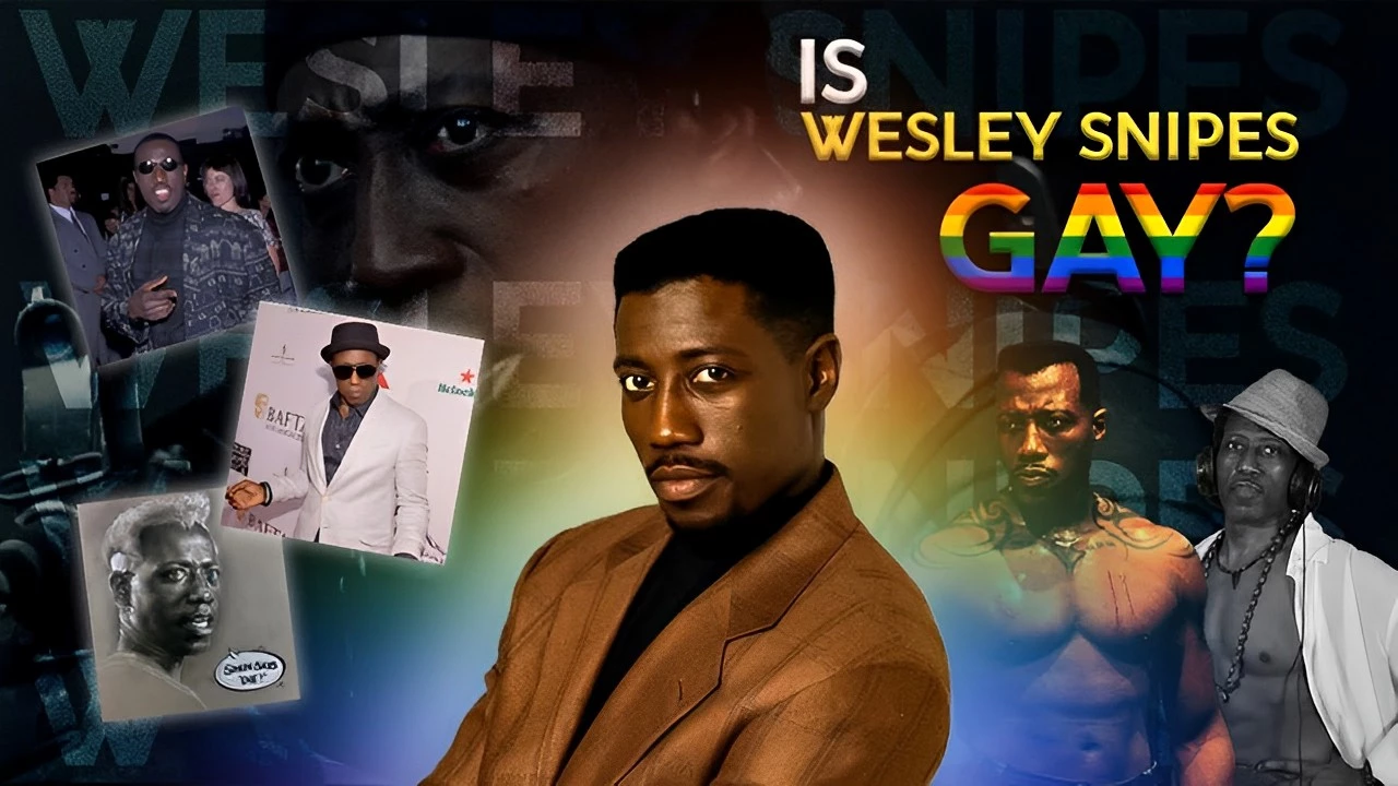 Conclusion - is Wesley Snipes gay