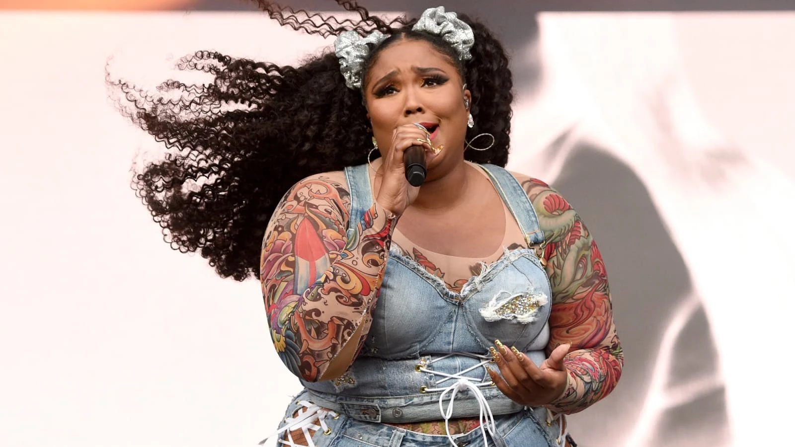 Lizzo Lawsuit - Public Sentiment