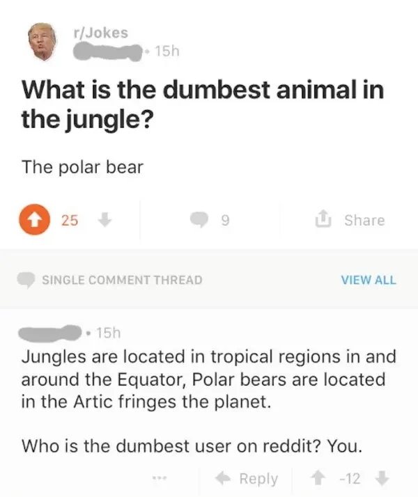Redditor who missed the joke