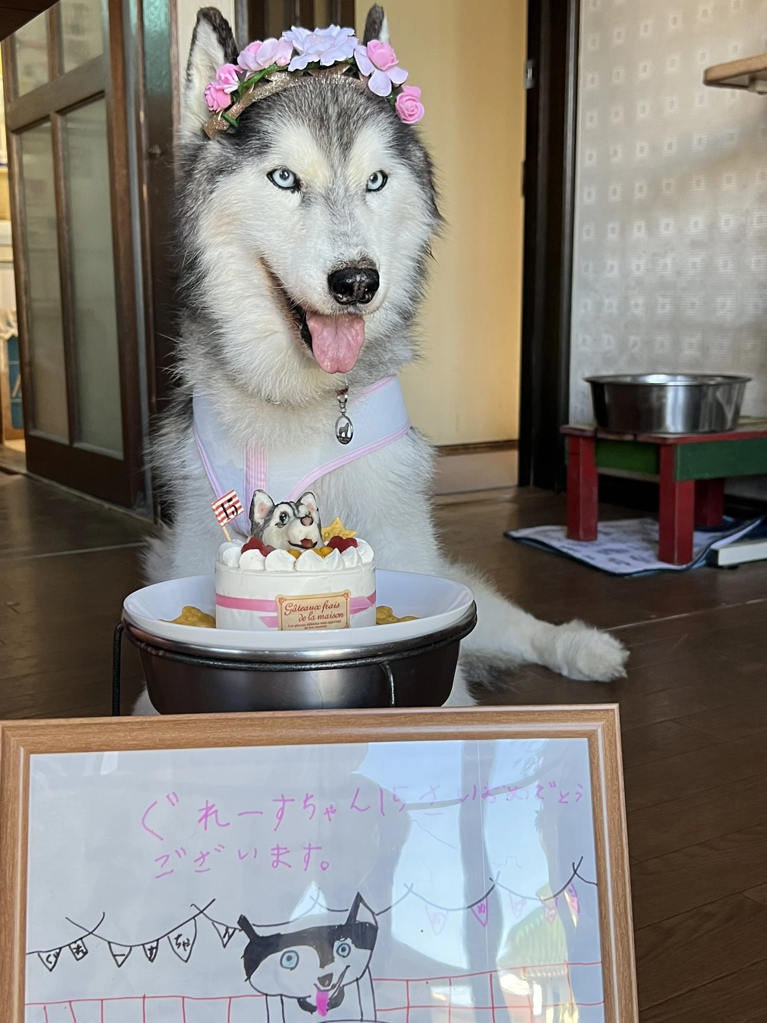 Grace celebrated her 15th birthday.