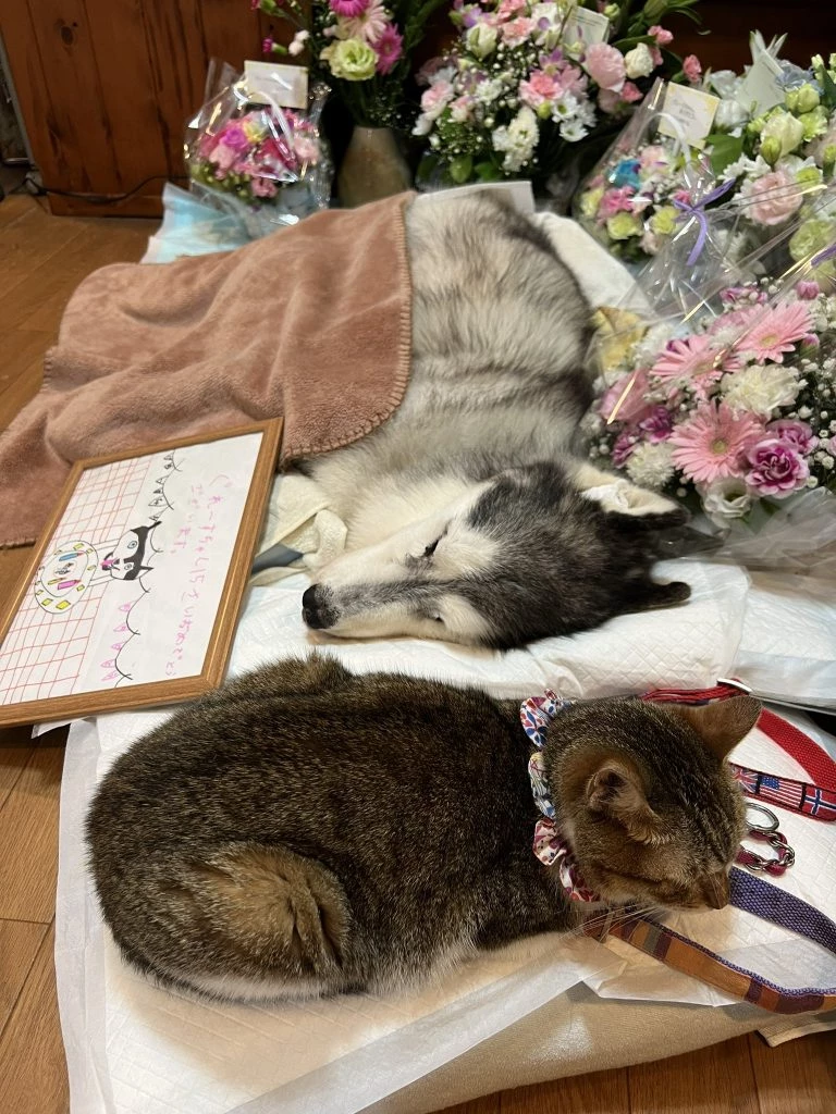 The family created a small shrine within the mourning hall.