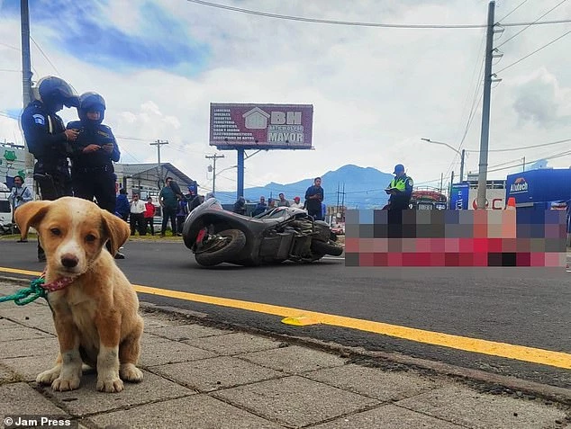 Débora Abigail Véliz Reynosa was only 17 years old when she passed away during a terrible car crash.