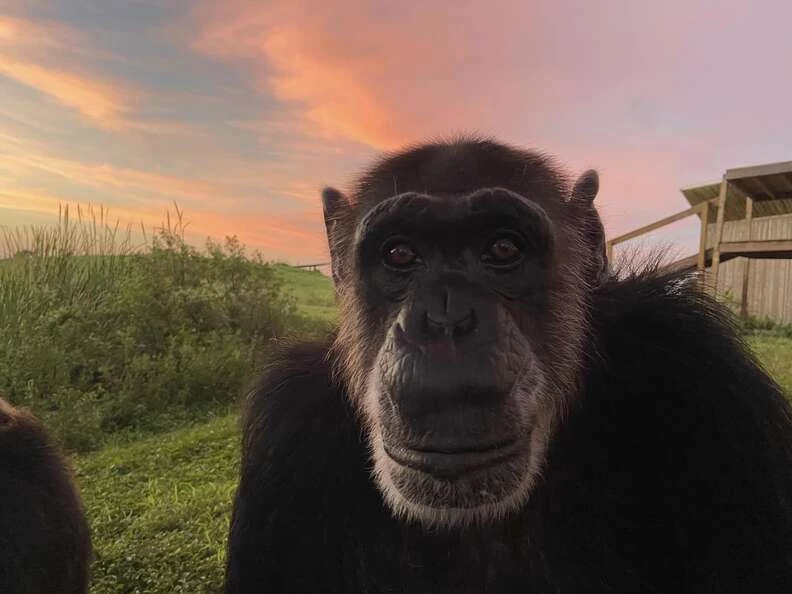 The sanctuary checked the camera to learn how this friendship formed.