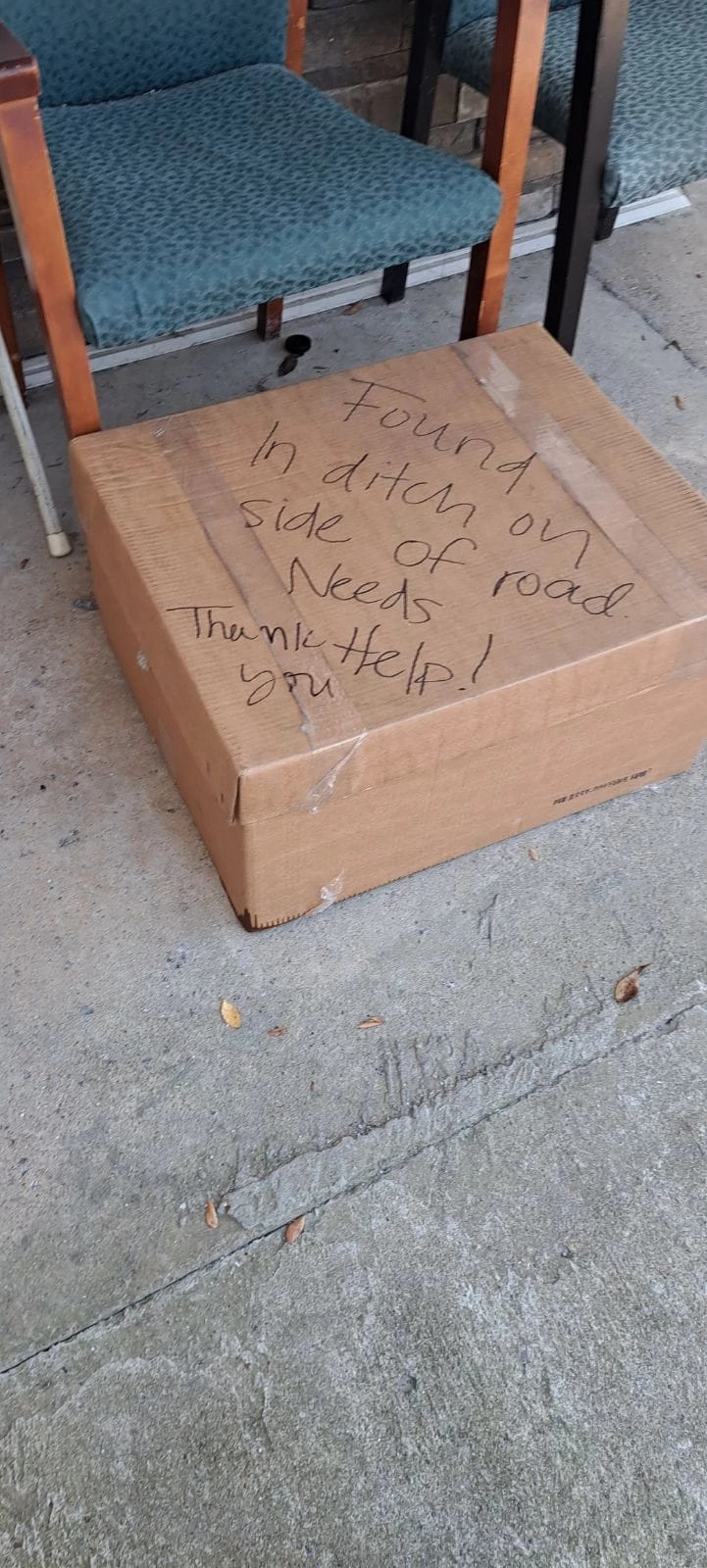 Mysterious box outside the shelter.