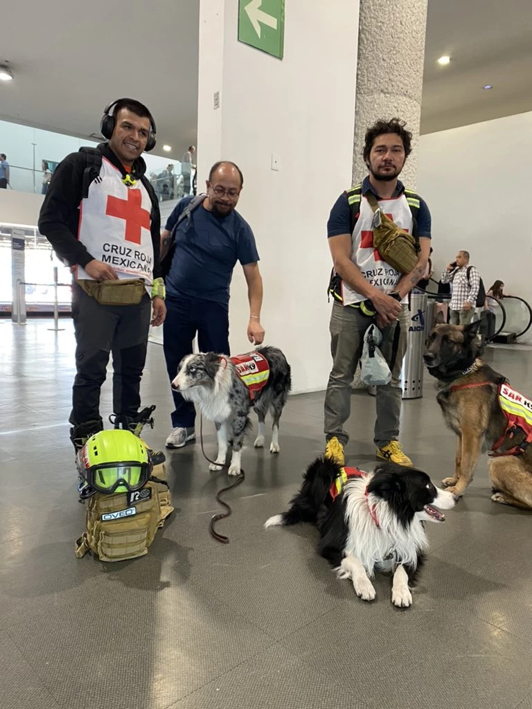 Three rescue dogs and researchers from the Mexican Red Cross.