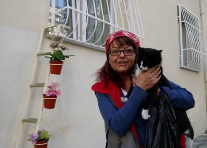 Turkish woman came up with an amazing solution to help the freezing stray cats.