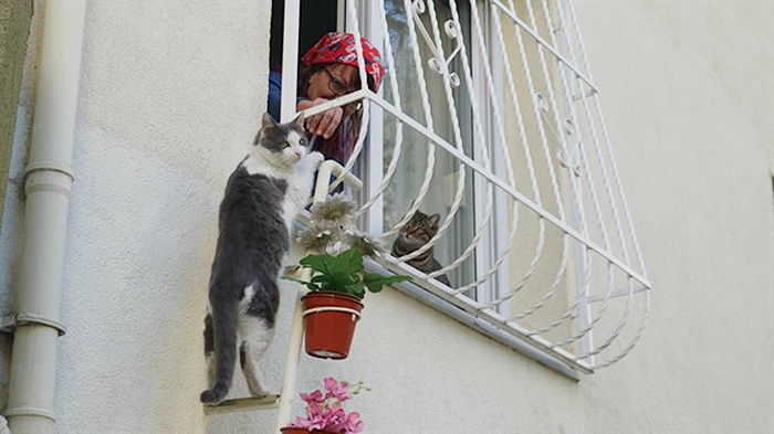 To make it more appealing, she added some decorative flower pots.