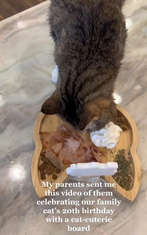 The family prepared a unique "cat-cuterie" board—a feline-friendly feast with all of Mattie's favorite treats.