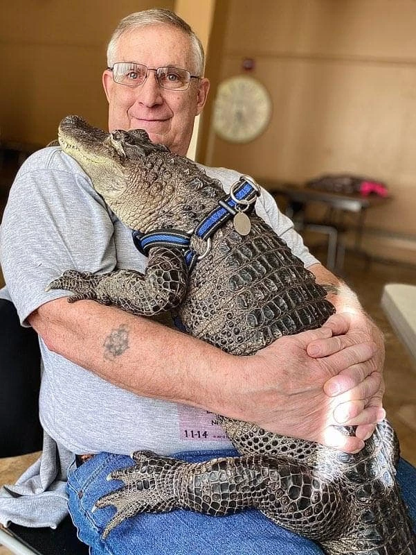 An emotional support animal, an alligator named Wally.