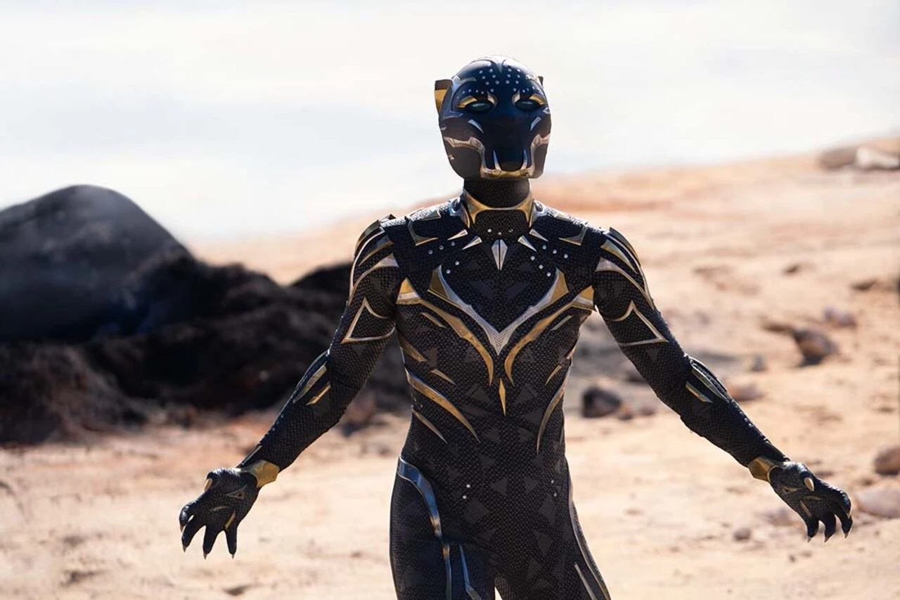 black panther 2 dvd release date