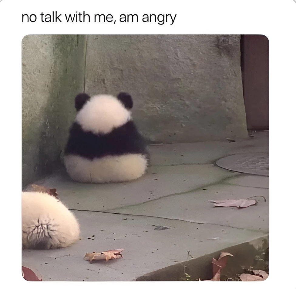 The Smol Panda Is Not Impressed With Your Conversational Effort