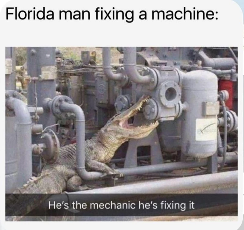 The Florida Mechanic Is Looking A Bit Scaley Over Here