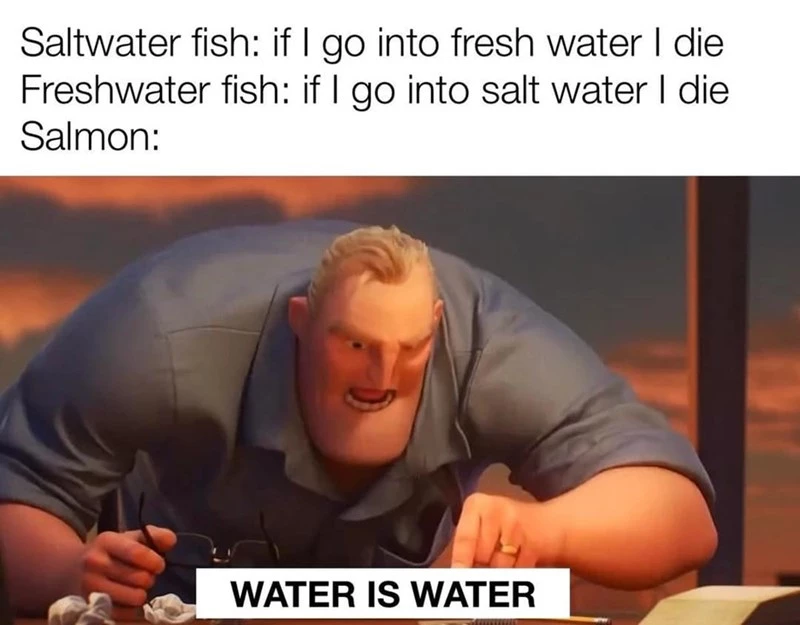 Salmons Are The Ultimate Chads In The Fish Realm