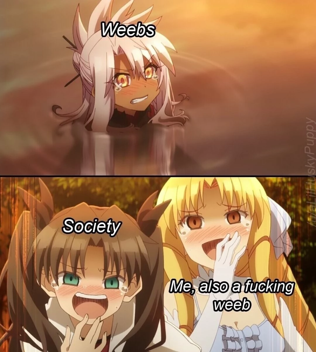Only Weebs Have The Privilege To Mock Each Other’s Existence