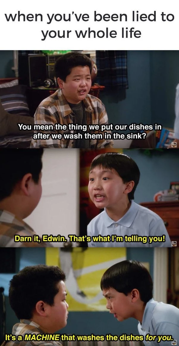 The Dishwasher Is One Of The Most Asian Thing Ever
