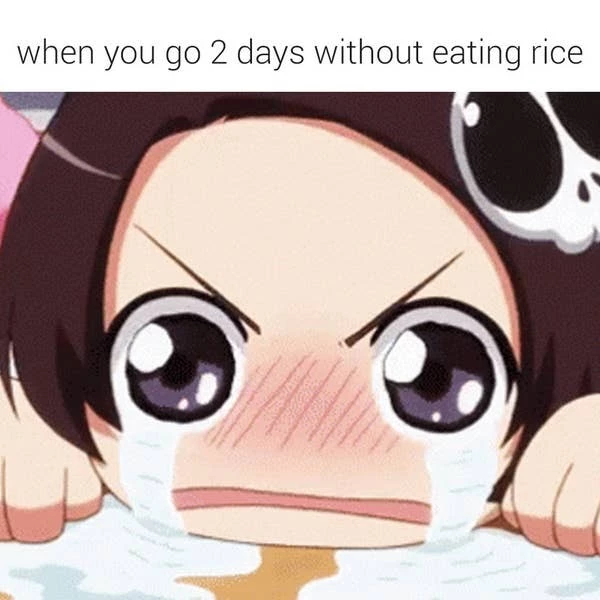 One Does Not Simply Live Without Rice