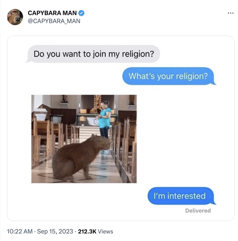 Where Can I Join This Capybara Religion?