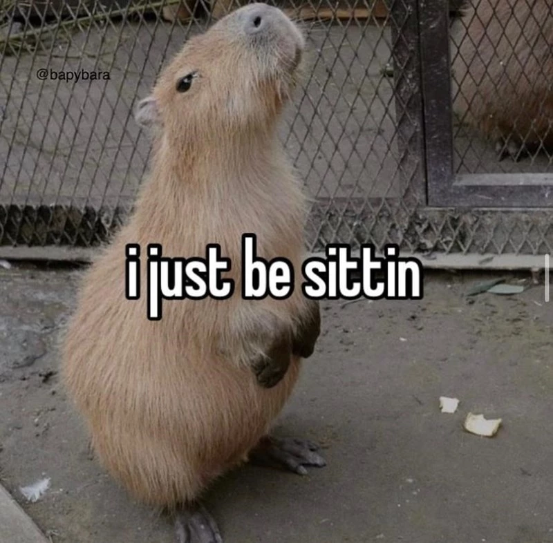 Just Lil’ Ol’ Capybara Sittin’ And Mindin’ His Own Business