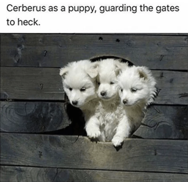 Who Knows Cerberus Can Be So Cute And Fluffy?