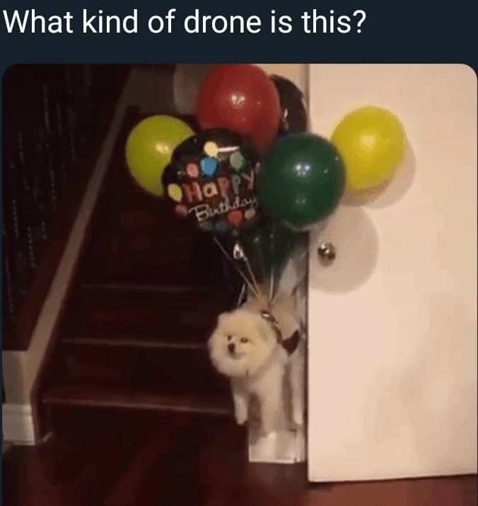 Where Can I Buy This Drone?